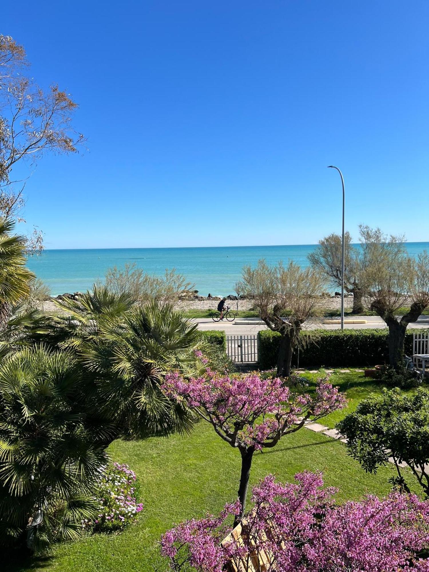 روزيتو ديلي أبروتسي B&B I Versi Del Mare المظهر الخارجي الصورة